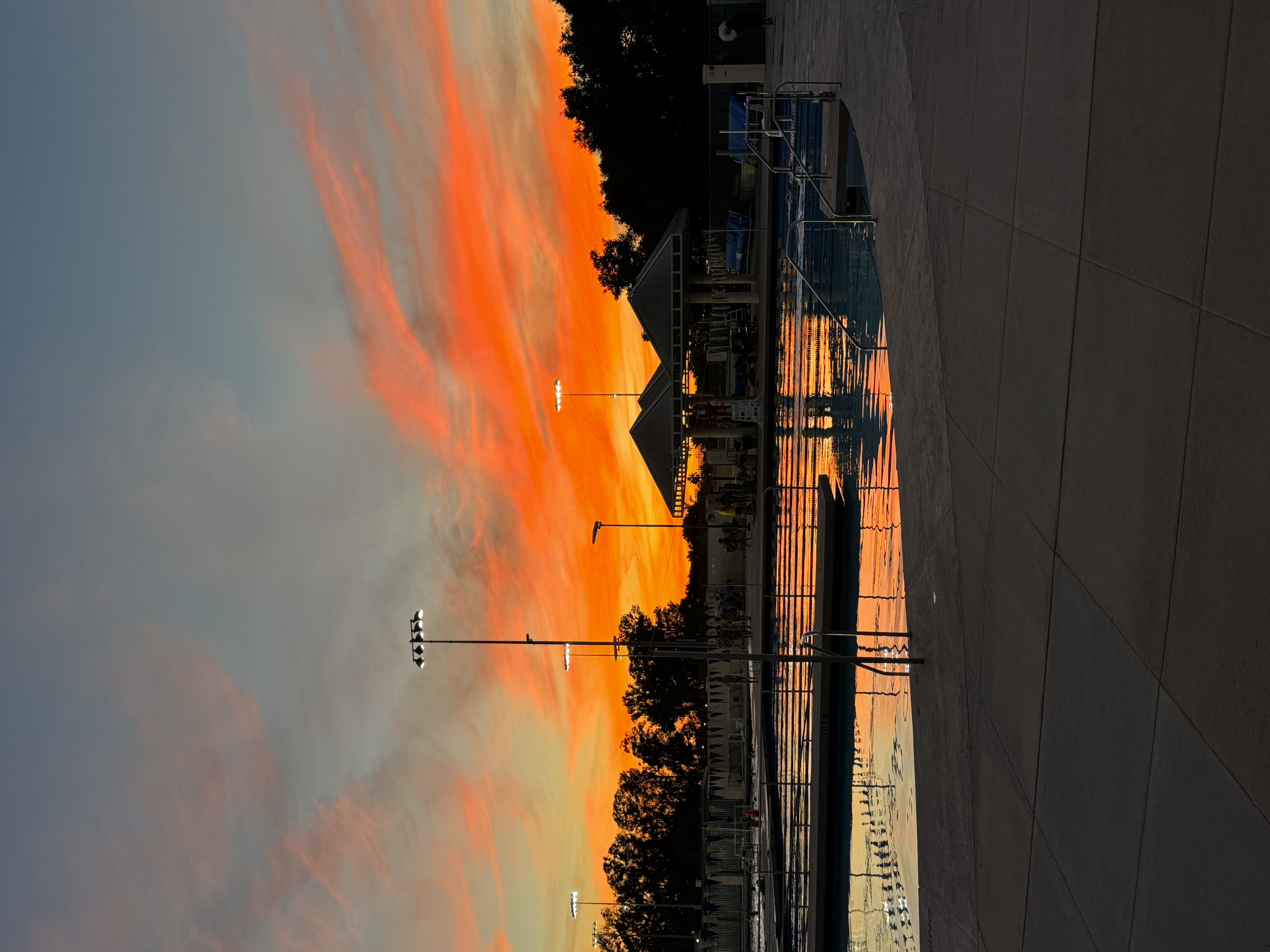 IMG_1006